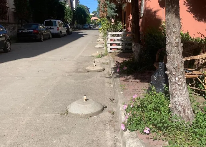 Flat Ani * 格勒姆