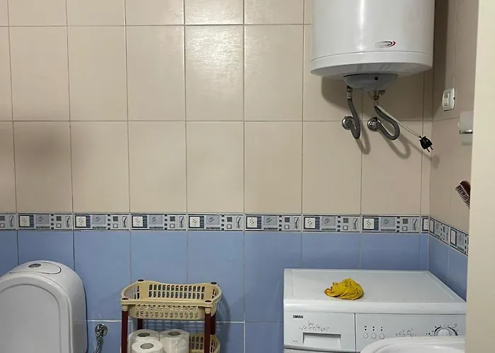 Flat Ani * 格勒姆