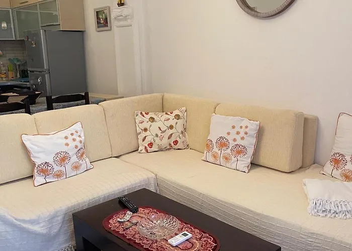 Flat Ani * 格勒姆