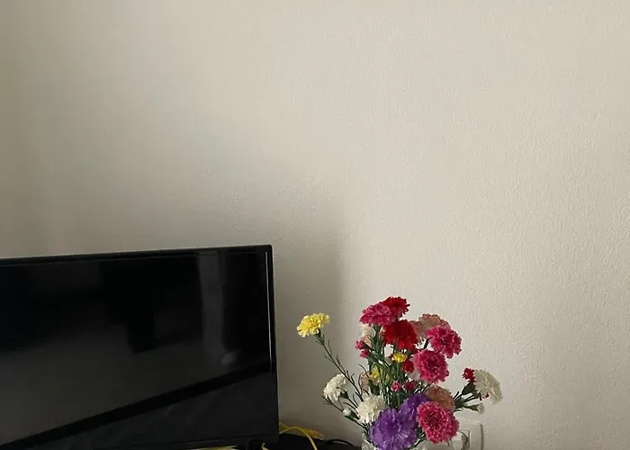 Flat Ani * 格勒姆