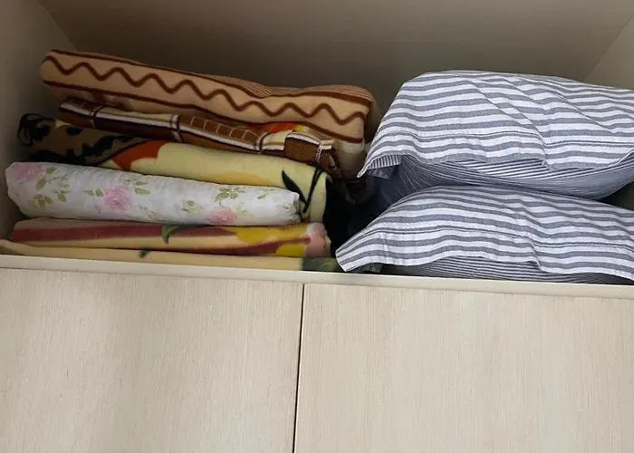 Flat Ani 公寓 格勒姆